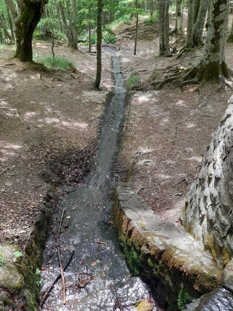 Monte Fumaiolo&nbsp;