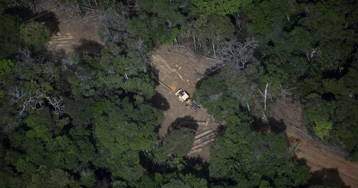 un-aereo-precipita-in-amazzonia-morte-le-14-persone-a-bordo