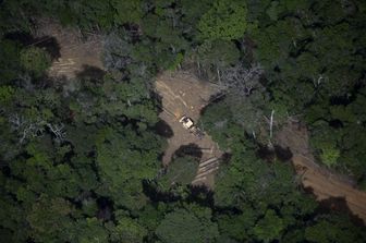 Amazzonia, deforestazione