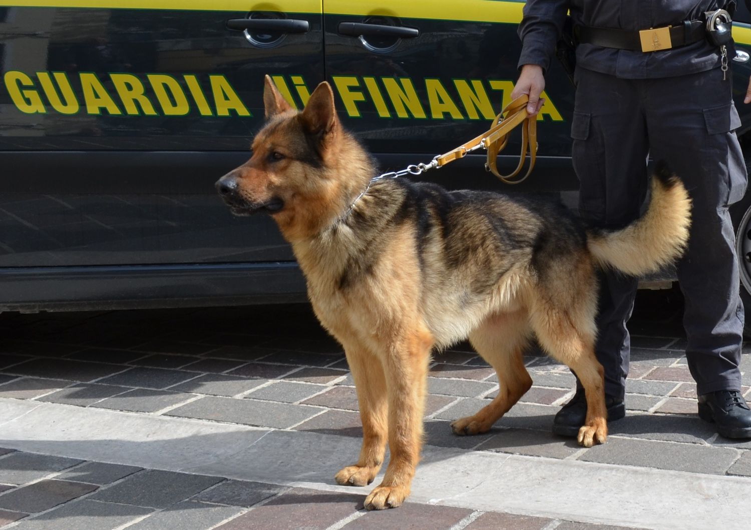 Guardia di Finanza, cani anti-droga&nbsp;