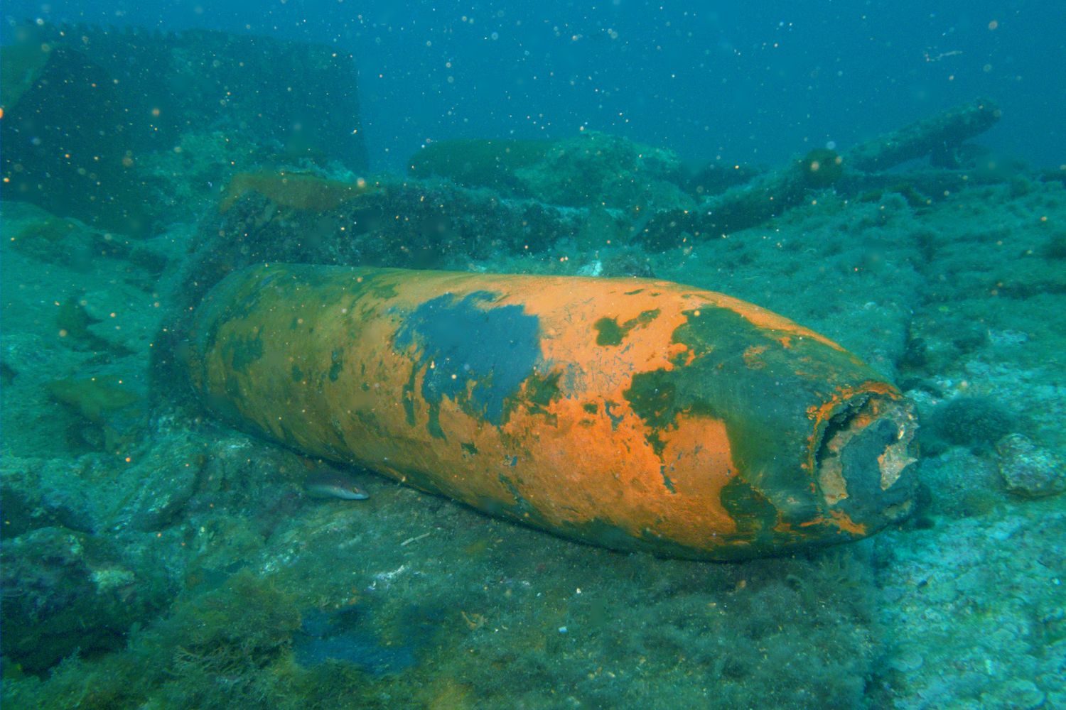 Reperti della Seconda Guerra Mondiale