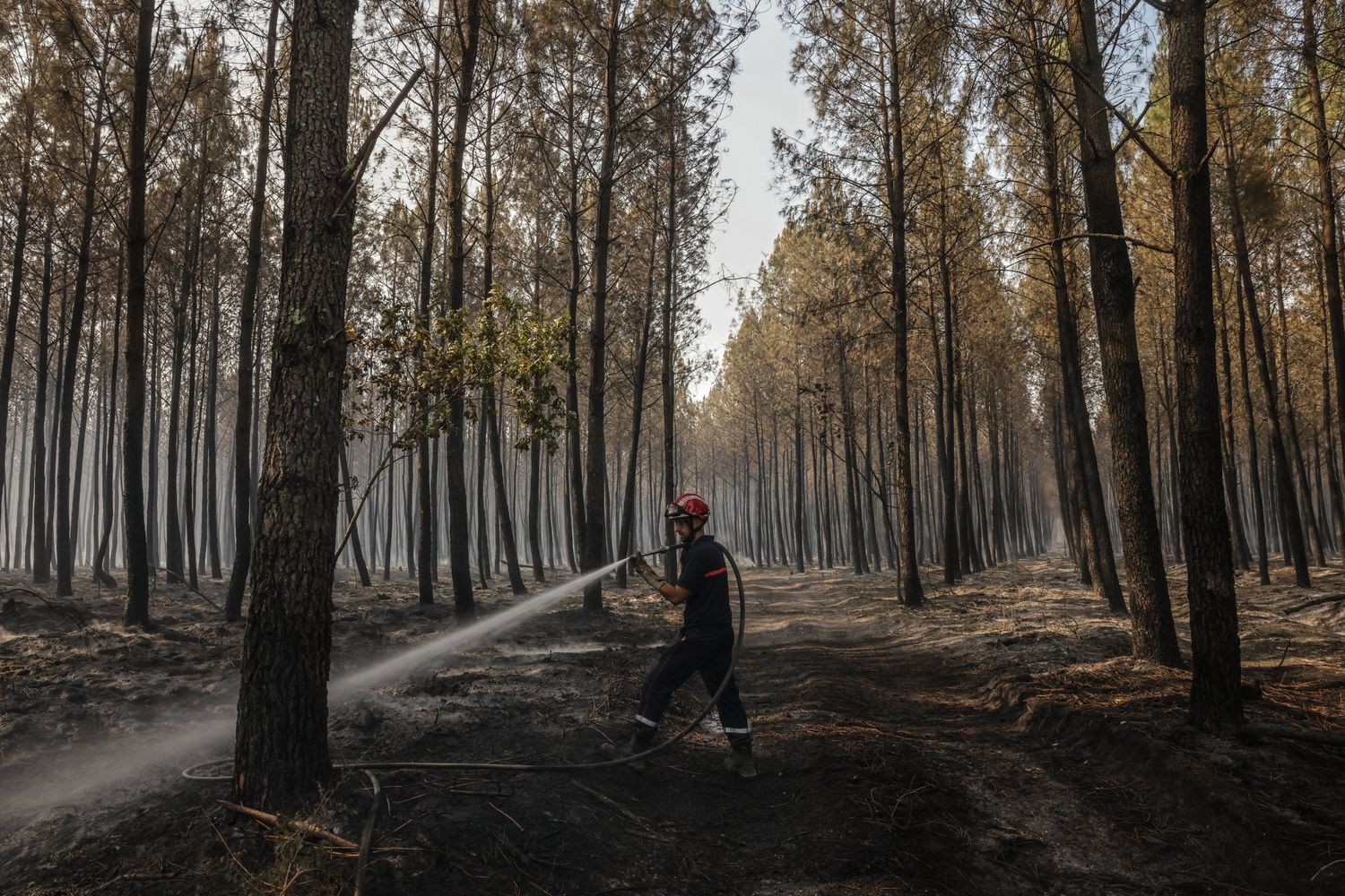 Spegnimento focolai d&rsquo;incendi