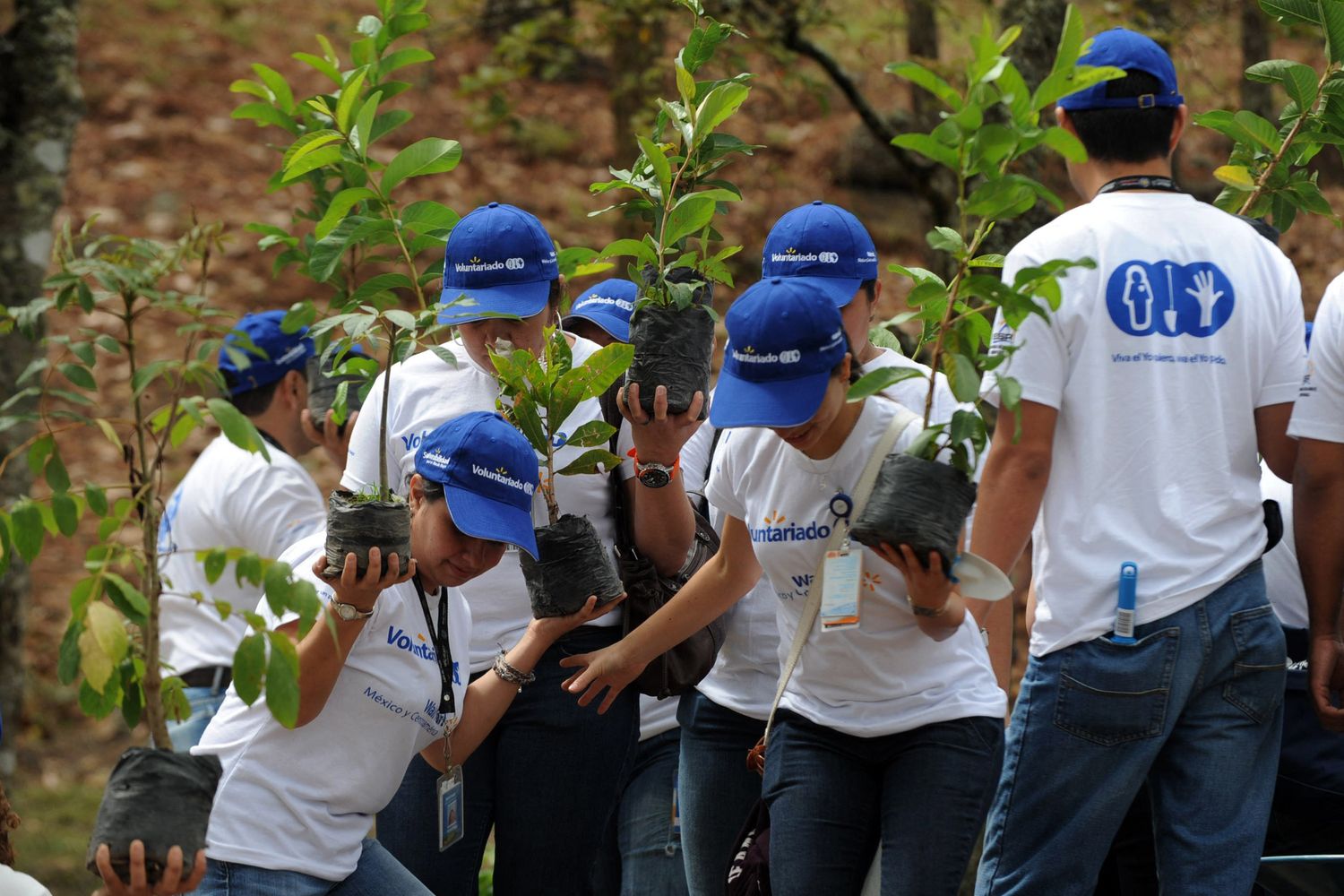 Riforestazione in Costa Rica