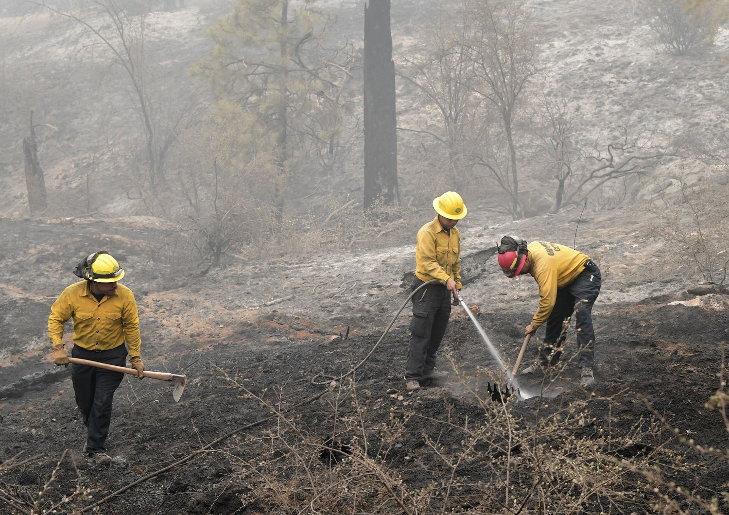 Incendi, Nevada