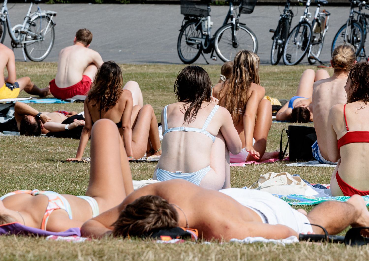 Ragazzi prendono il sole al parco&nbsp;