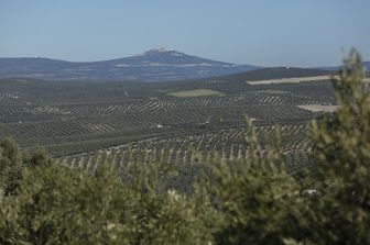Ja&eacute;n in Spagna&nbsp;