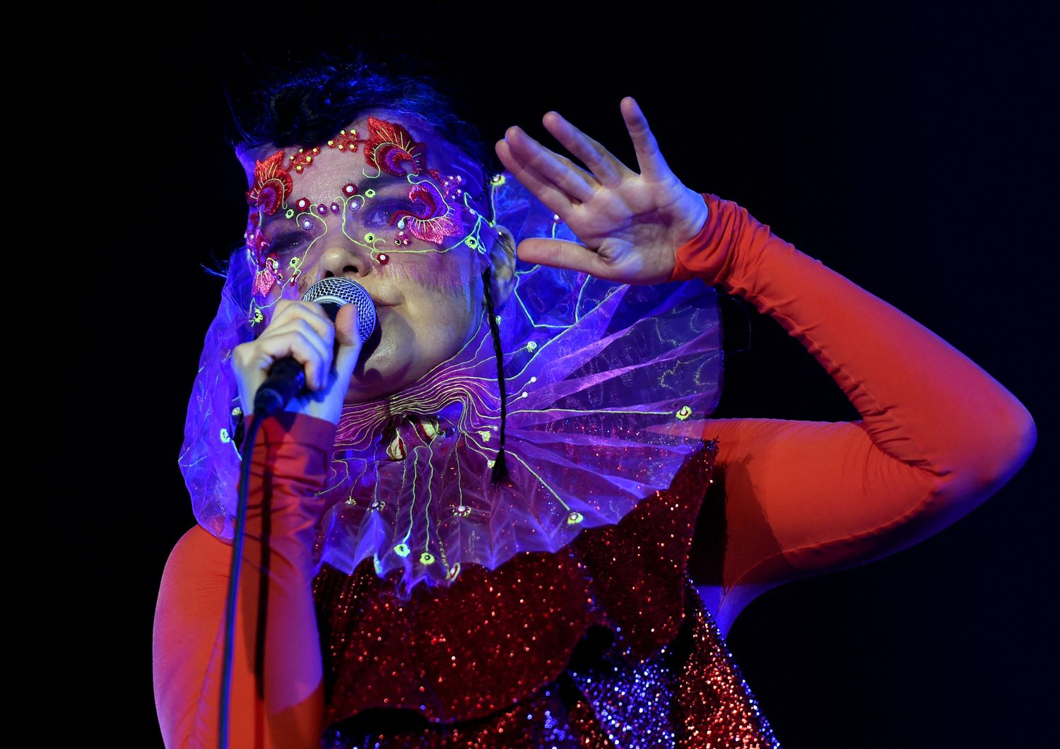 Bj&ouml;rk &nbsp;