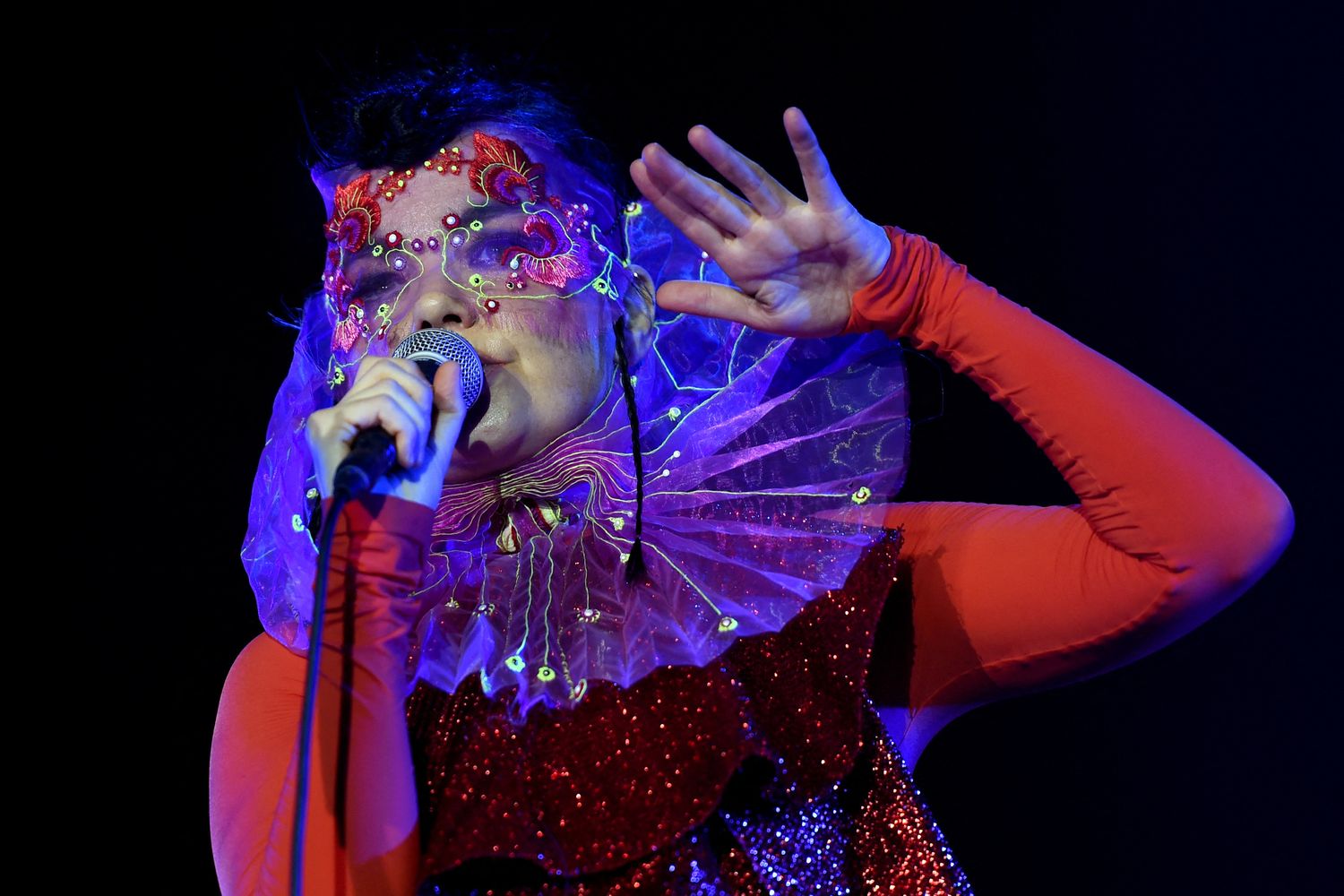 Bj&ouml;rk &nbsp;