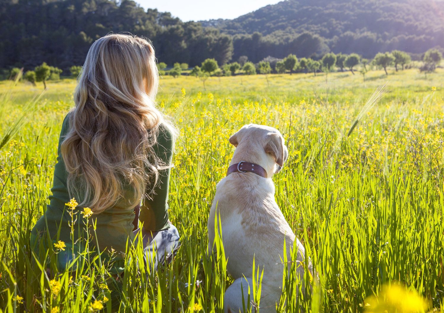 Una donna con il suo cane Labrador&nbsp;