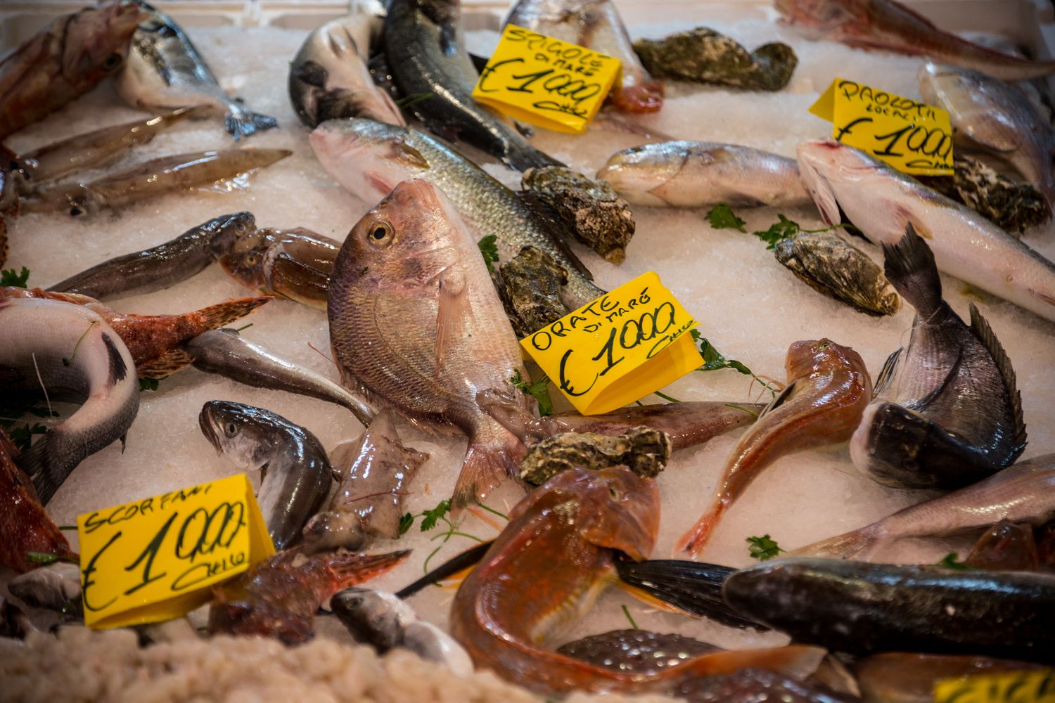 Bancone del pesce&nbsp;