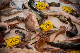 Bancone del pesce&nbsp;