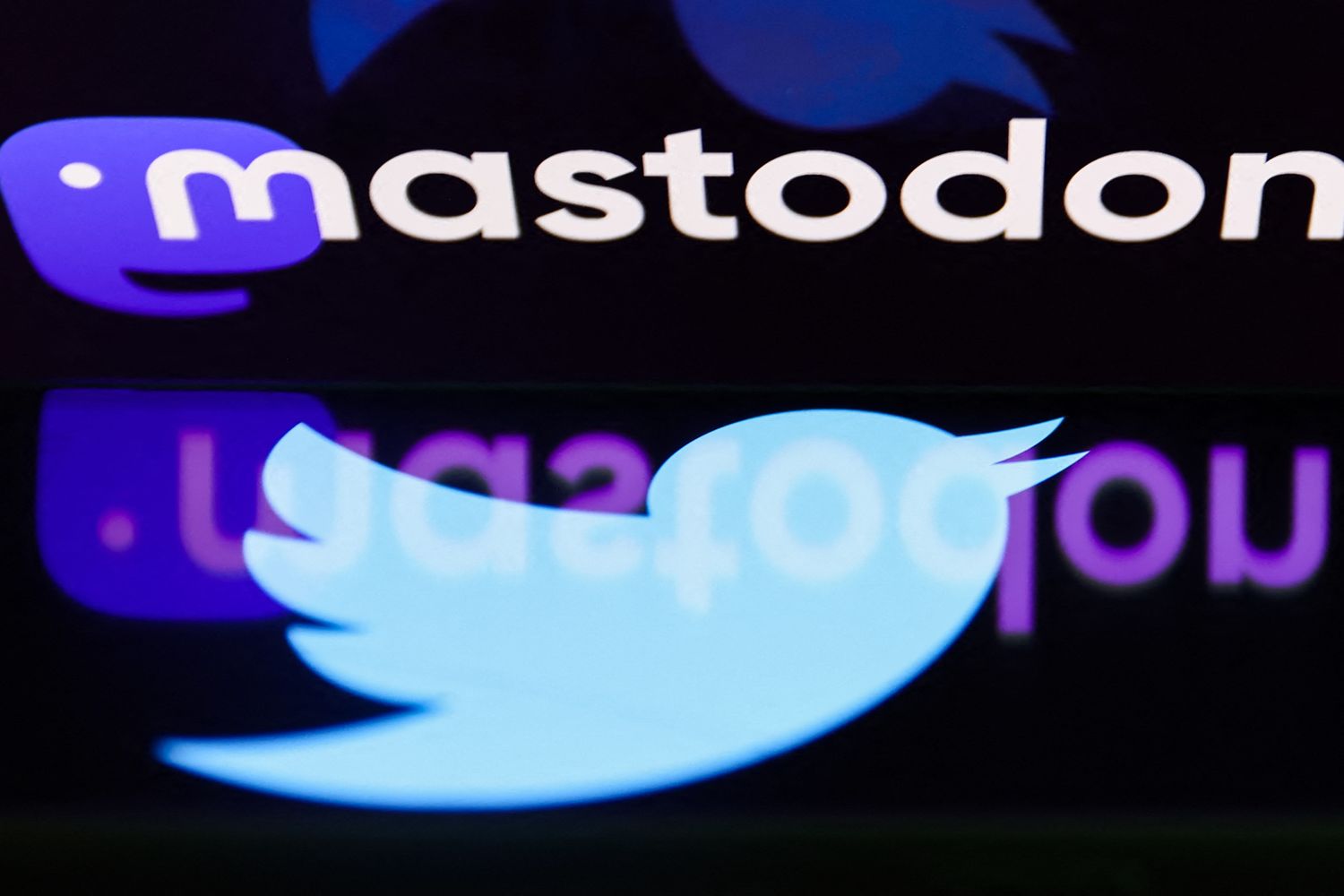 Logo di Mastodon