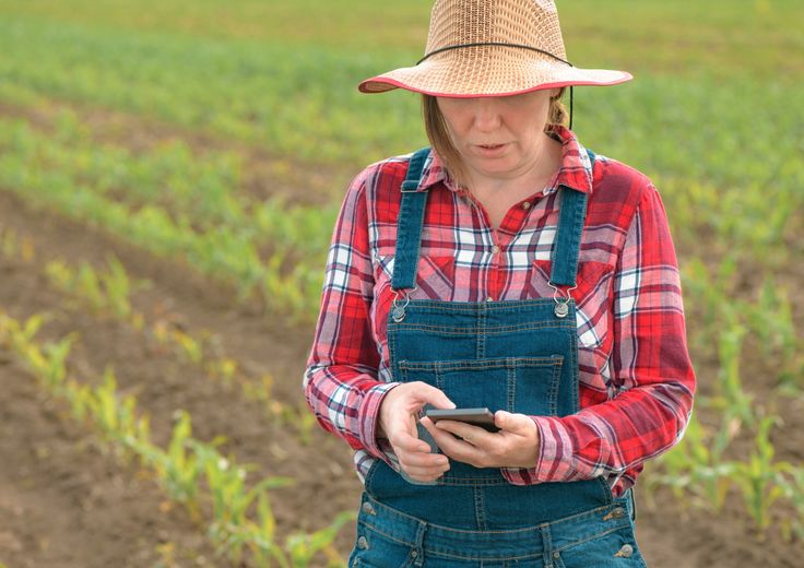 Agricoltura