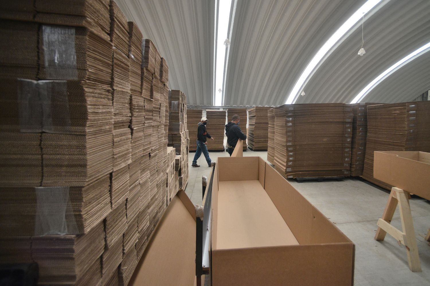 Industria produzione del cartone