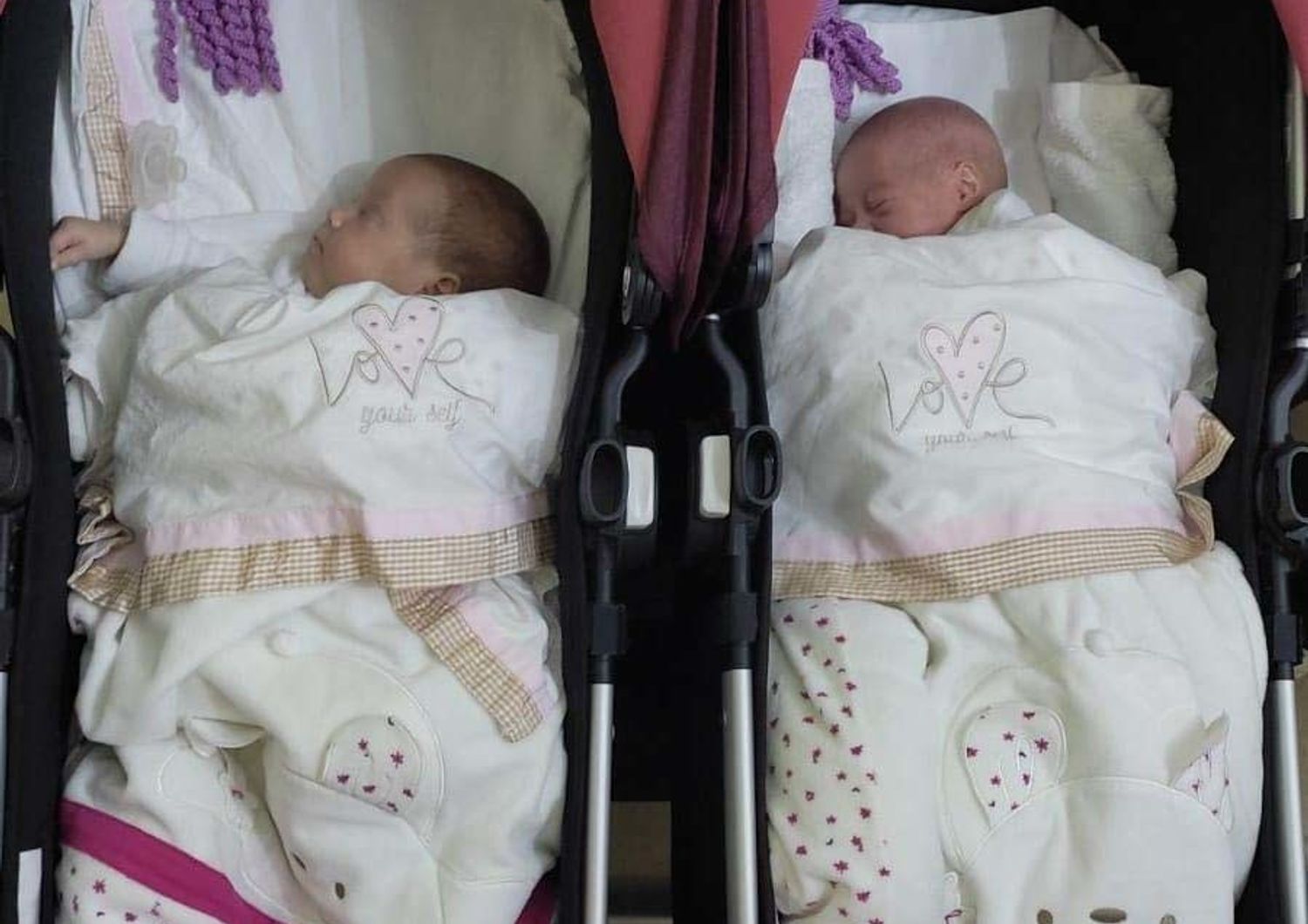 Le gemelline dormono in carrozzina &nbsp;