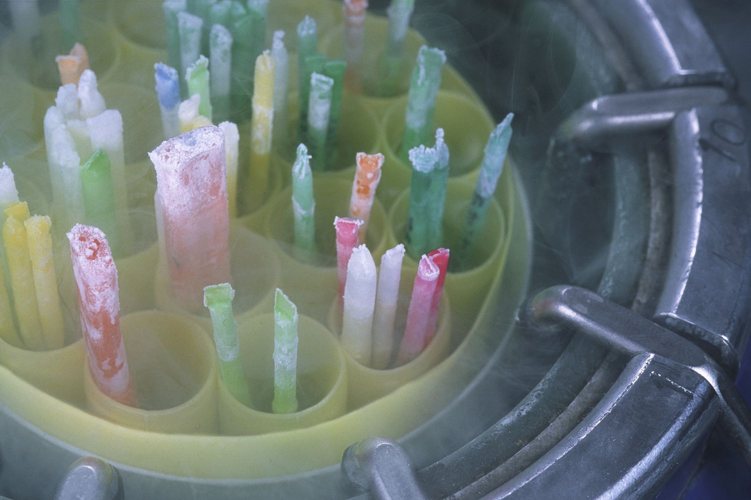 Riproduzione medicalmente assistita&nbsp;