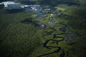 Foresta amazzonica