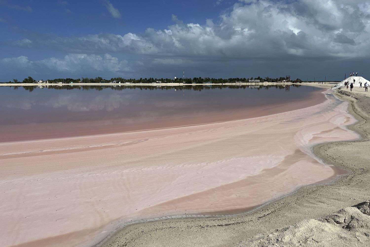 Il mare colorato di rosso a causa delle alghe &nbsp;