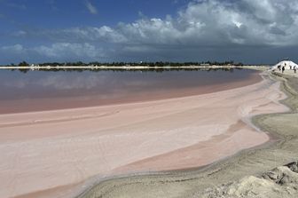 Il mare colorato di rosso a causa delle alghe &nbsp;