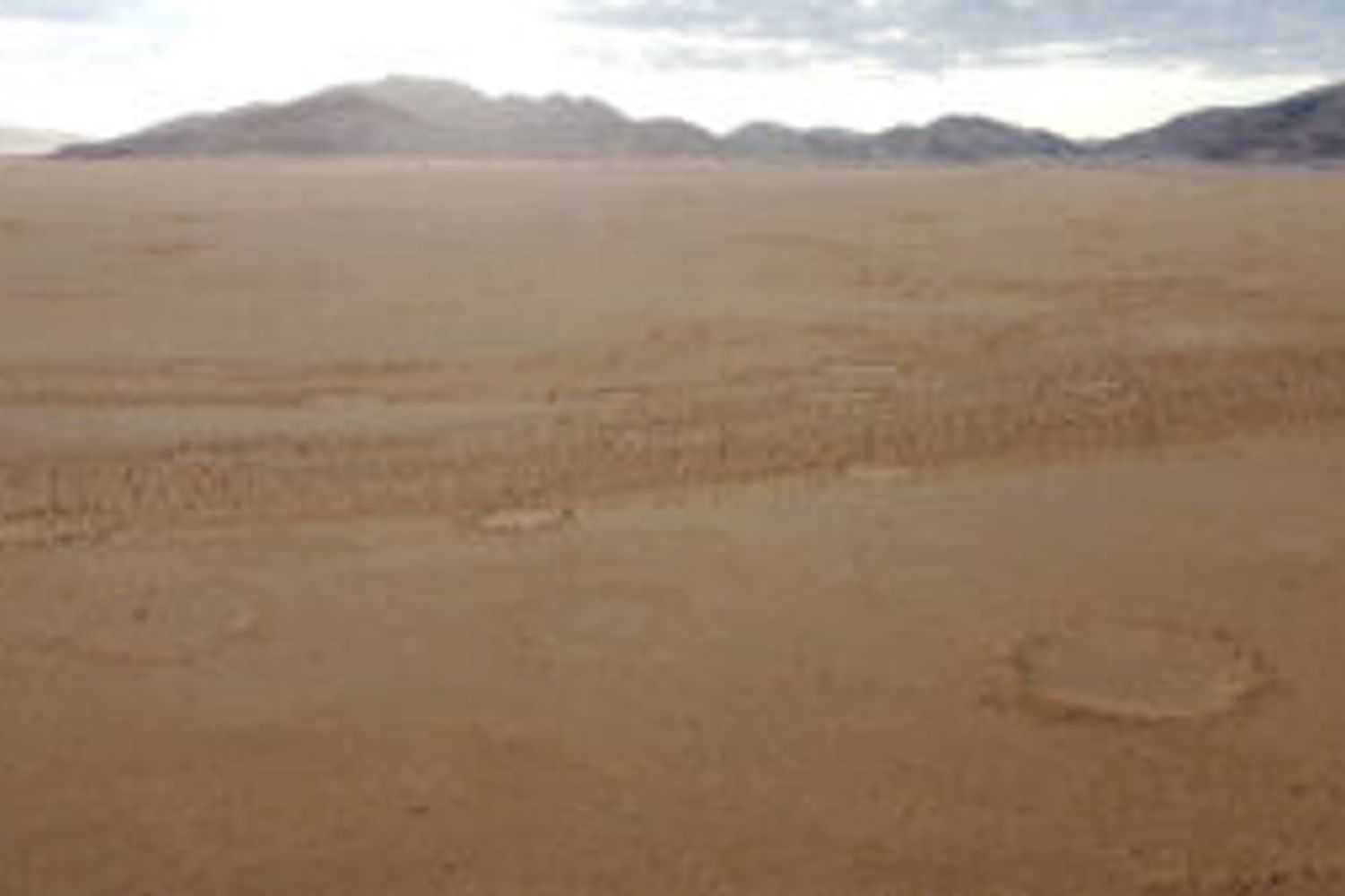 I cerchi fatati in Namibia&nbsp;